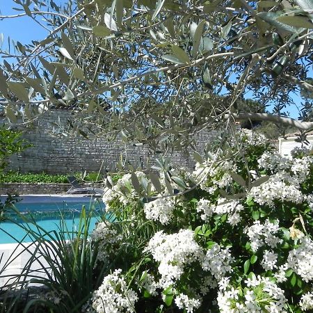 Villa Del Re 10 La Flotte Bagian luar foto